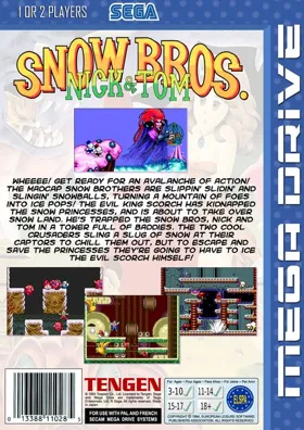 Snow Bros box cover back